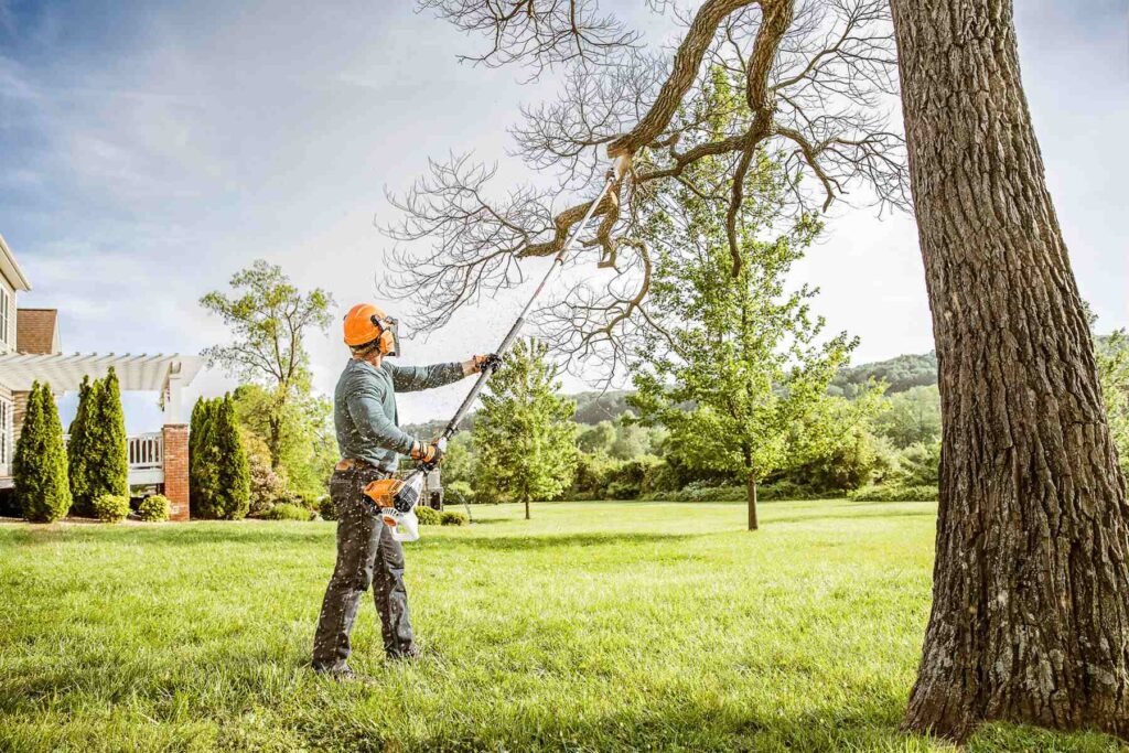 Tree trimming from ground - Valory Enterprise LLC