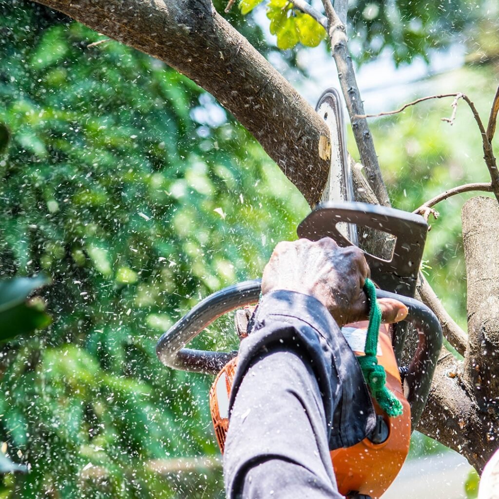 tree trimming - Valory Enterprise LLC